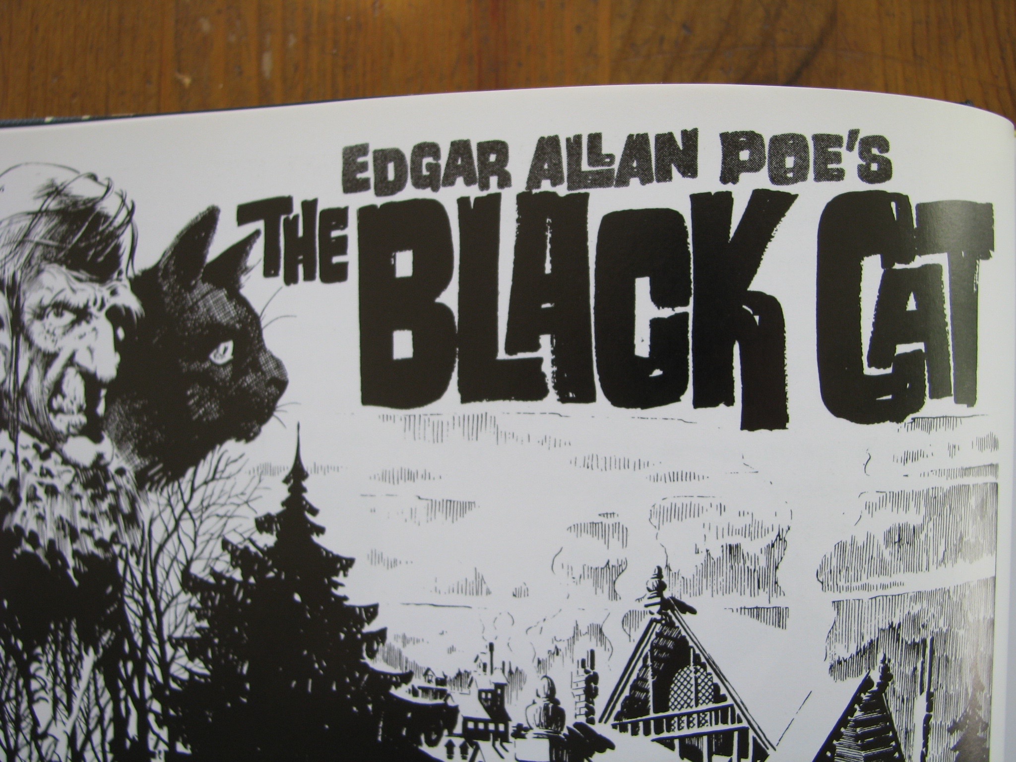 The Black Cat Comic by Edgar Allan Poe and Bernie Wrightson | Cat-Opedia