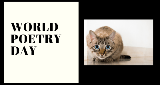 World Poetry Day March 21 ~ The Cat In The Hat by Dr. Seuss
