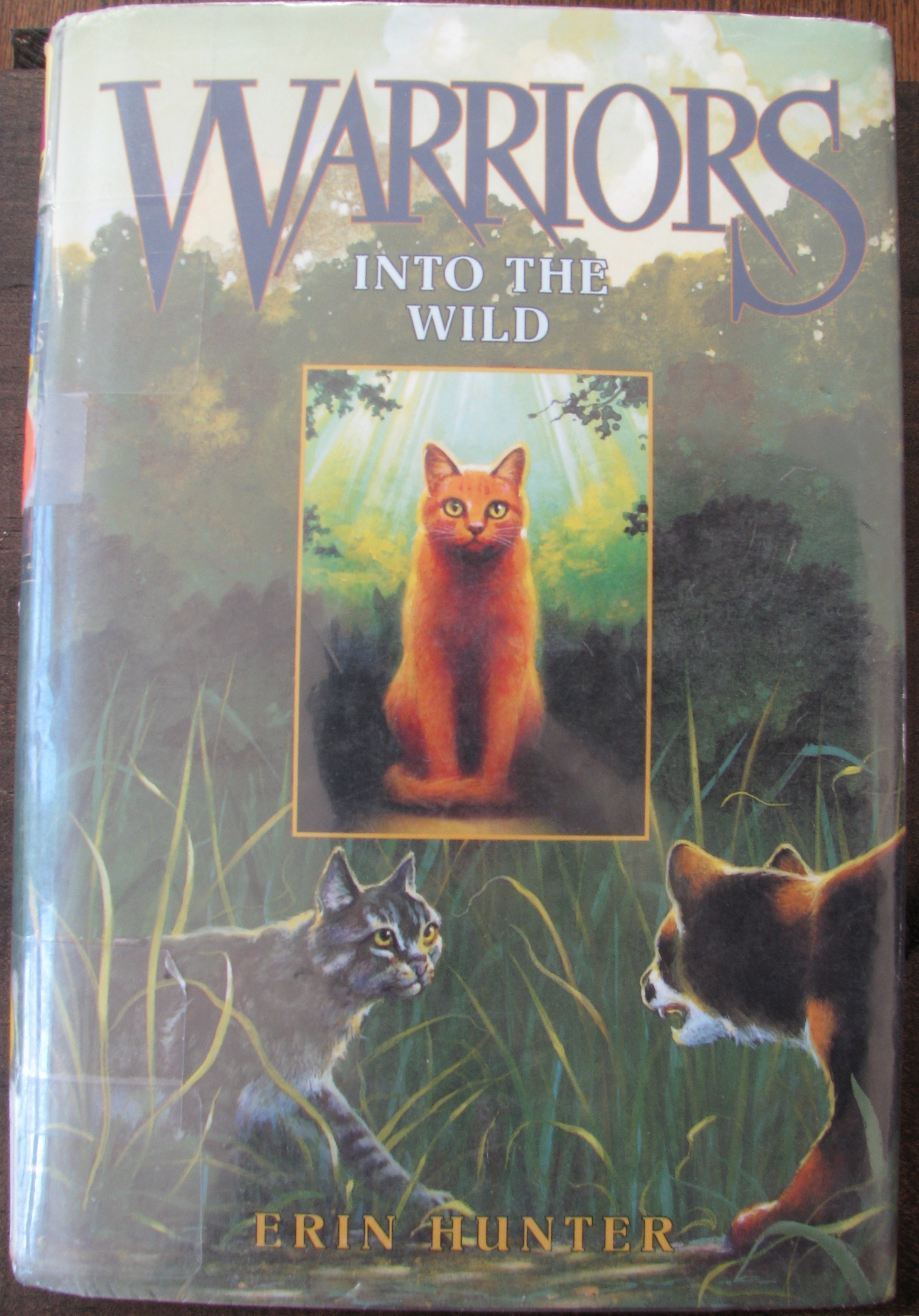 WARRIORS: into the wild old  Warrior cats, Warrior cats art, Cat character