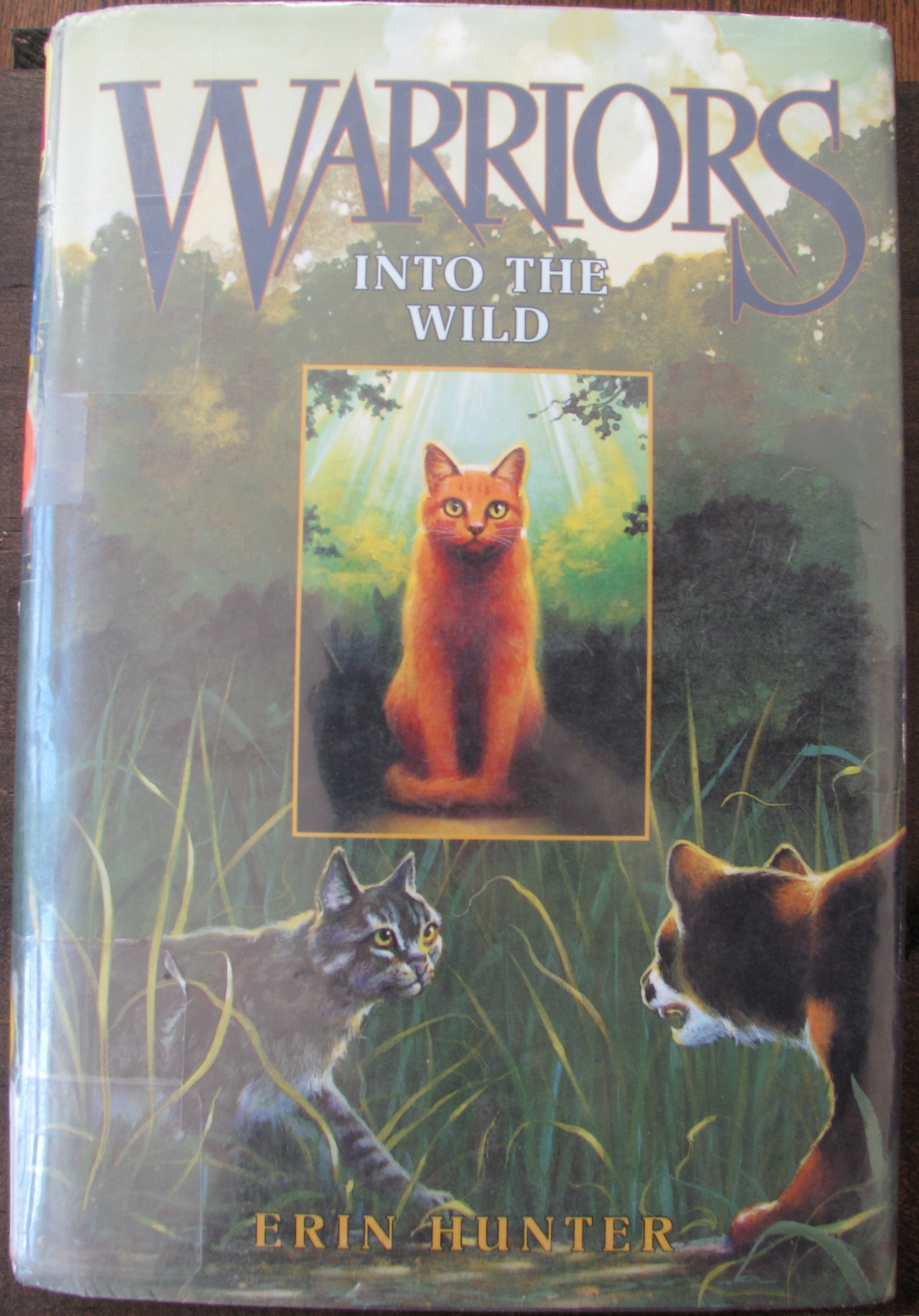 What Is The Most Violent Warrior Cats Book